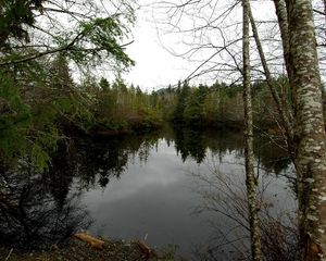 Preview wallpaper lake, trees, gloomy, ate