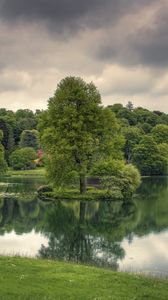 Preview wallpaper lake, trees, grass, cloudy, reflection