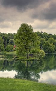 Preview wallpaper lake, trees, grass, cloudy, reflection