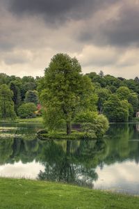 Preview wallpaper lake, trees, grass, cloudy, reflection