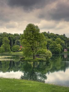 Preview wallpaper lake, trees, grass, cloudy, reflection