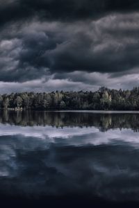 Preview wallpaper lake, trees, horizon, reflection, clouds, dark, overcast