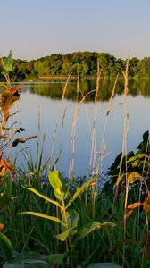 Preview wallpaper lake, trees, landscape