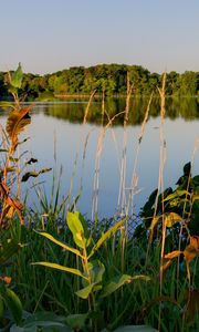 Preview wallpaper lake, trees, landscape