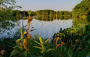 Preview wallpaper lake, trees, landscape