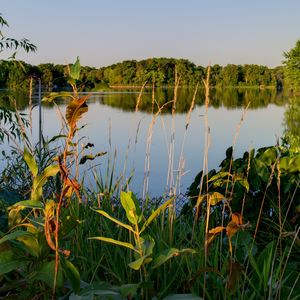 Preview wallpaper lake, trees, landscape