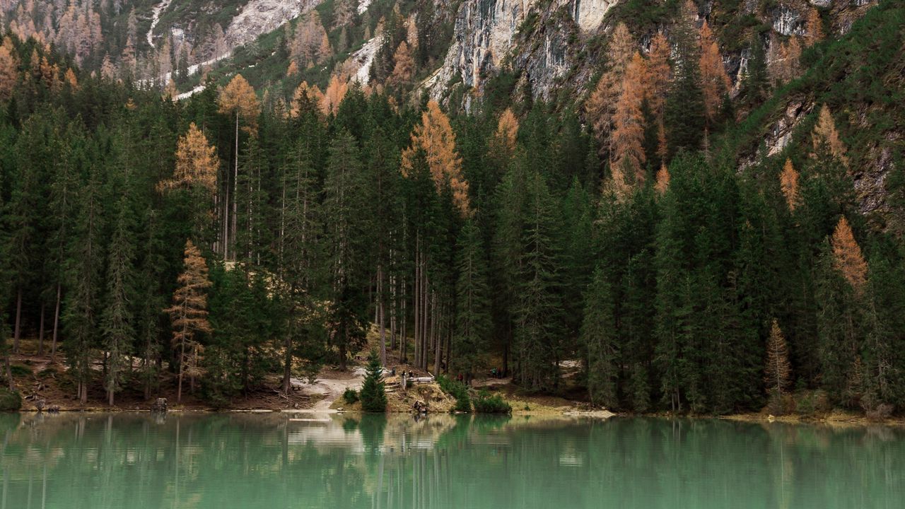 Wallpaper lake, trees, mountain, landscape