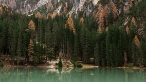 Preview wallpaper lake, trees, mountain, landscape