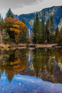 Preview wallpaper lake, trees, mountain, water, reflection, landscape