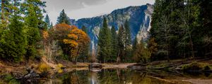Preview wallpaper lake, trees, mountain, water, reflection, landscape