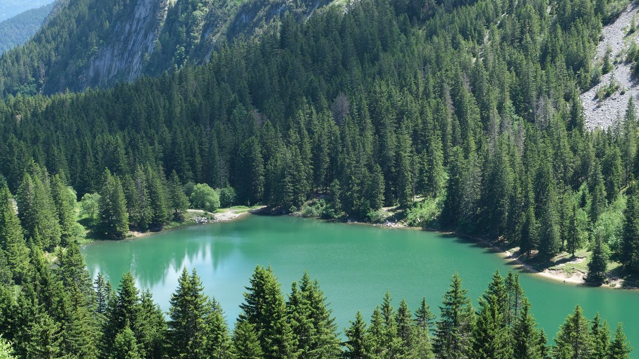 Wallpaper lake, trees, mountain, nature