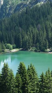 Preview wallpaper lake, trees, mountain, nature