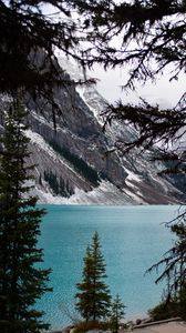 Preview wallpaper lake, trees, mountain, landscape, snow