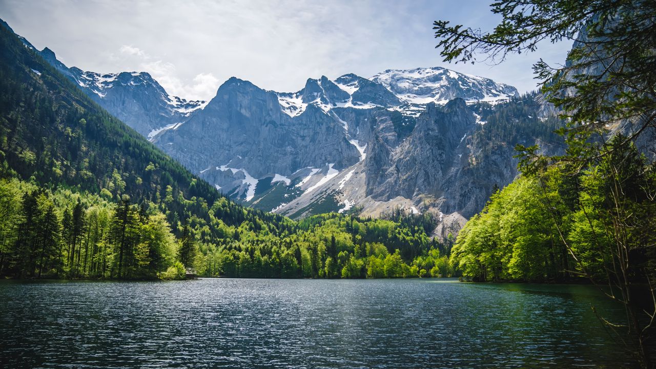 Wallpaper lake, trees, mountains, nature