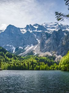 Preview wallpaper lake, trees, mountains, nature