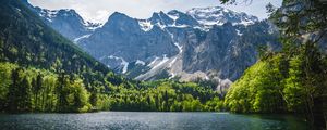 Preview wallpaper lake, trees, mountains, nature