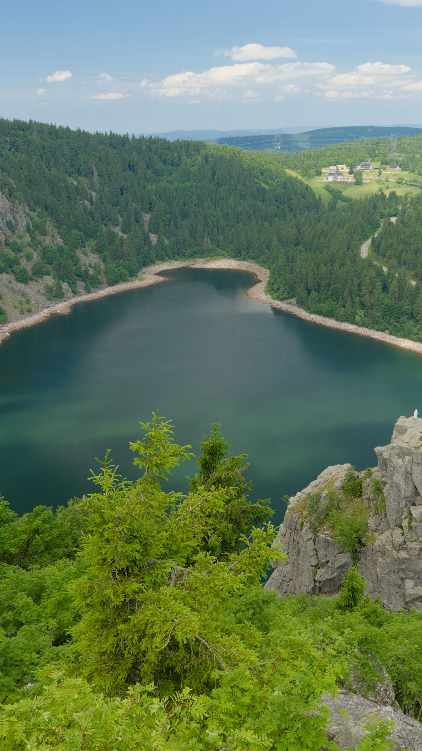 1350x2400 Wallpaper lake, trees, mountains, clouds, landscape
