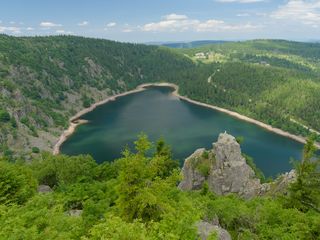 320x240 Wallpaper lake, trees, mountains, clouds, landscape
