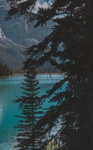 Preview wallpaper lake, trees, mountains, boat, nature