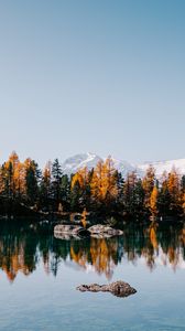 Preview wallpaper lake, trees, mountains, stones, landscape