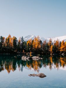 Preview wallpaper lake, trees, mountains, stones, landscape