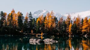 Preview wallpaper lake, trees, mountains, stones, landscape