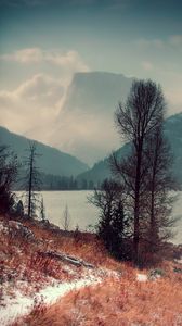 Preview wallpaper lake, trees, mountains, shore, fog, landscape