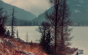 Preview wallpaper lake, trees, mountains, shore, fog, landscape