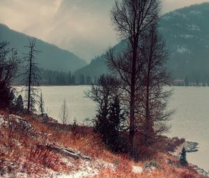 Preview wallpaper lake, trees, mountains, shore, fog, landscape