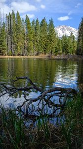 Preview wallpaper lake, trees, mountains, landscape