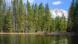 Preview wallpaper lake, trees, mountains, landscape