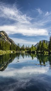 Preview wallpaper lake, trees, mountains, reflection, sky