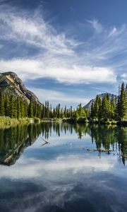 Preview wallpaper lake, trees, mountains, reflection, sky
