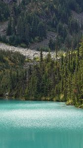 Preview wallpaper lake, trees, pines, slope, landscape, nature