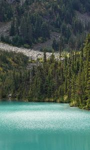 Preview wallpaper lake, trees, pines, slope, landscape, nature