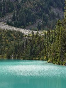 Preview wallpaper lake, trees, pines, slope, landscape, nature