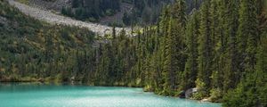 Preview wallpaper lake, trees, pines, slope, landscape, nature
