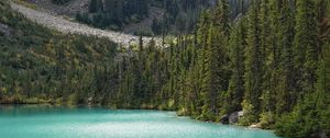 Preview wallpaper lake, trees, pines, slope, landscape, nature