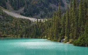 Preview wallpaper lake, trees, pines, slope, landscape, nature