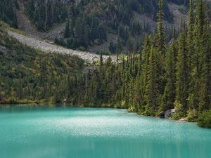 Preview wallpaper lake, trees, pines, slope, landscape, nature