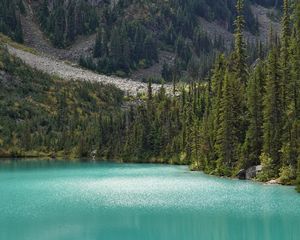 Preview wallpaper lake, trees, pines, slope, landscape, nature