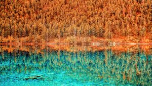 Preview wallpaper lake, trees, reflection, hdr