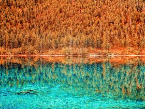 Preview wallpaper lake, trees, reflection, hdr