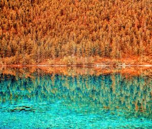 Preview wallpaper lake, trees, reflection, hdr