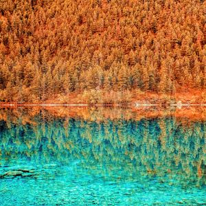 Preview wallpaper lake, trees, reflection, hdr