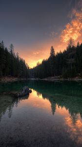 Preview wallpaper lake, trees, reflection, pragser wildsee, italy