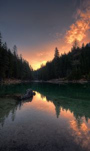 Preview wallpaper lake, trees, reflection, pragser wildsee, italy