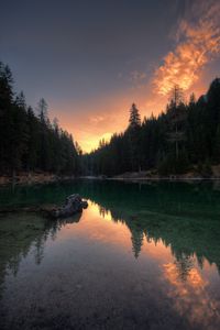 Preview wallpaper lake, trees, reflection, pragser wildsee, italy