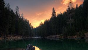 Preview wallpaper lake, trees, reflection, pragser wildsee, italy