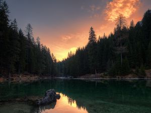 Preview wallpaper lake, trees, reflection, pragser wildsee, italy